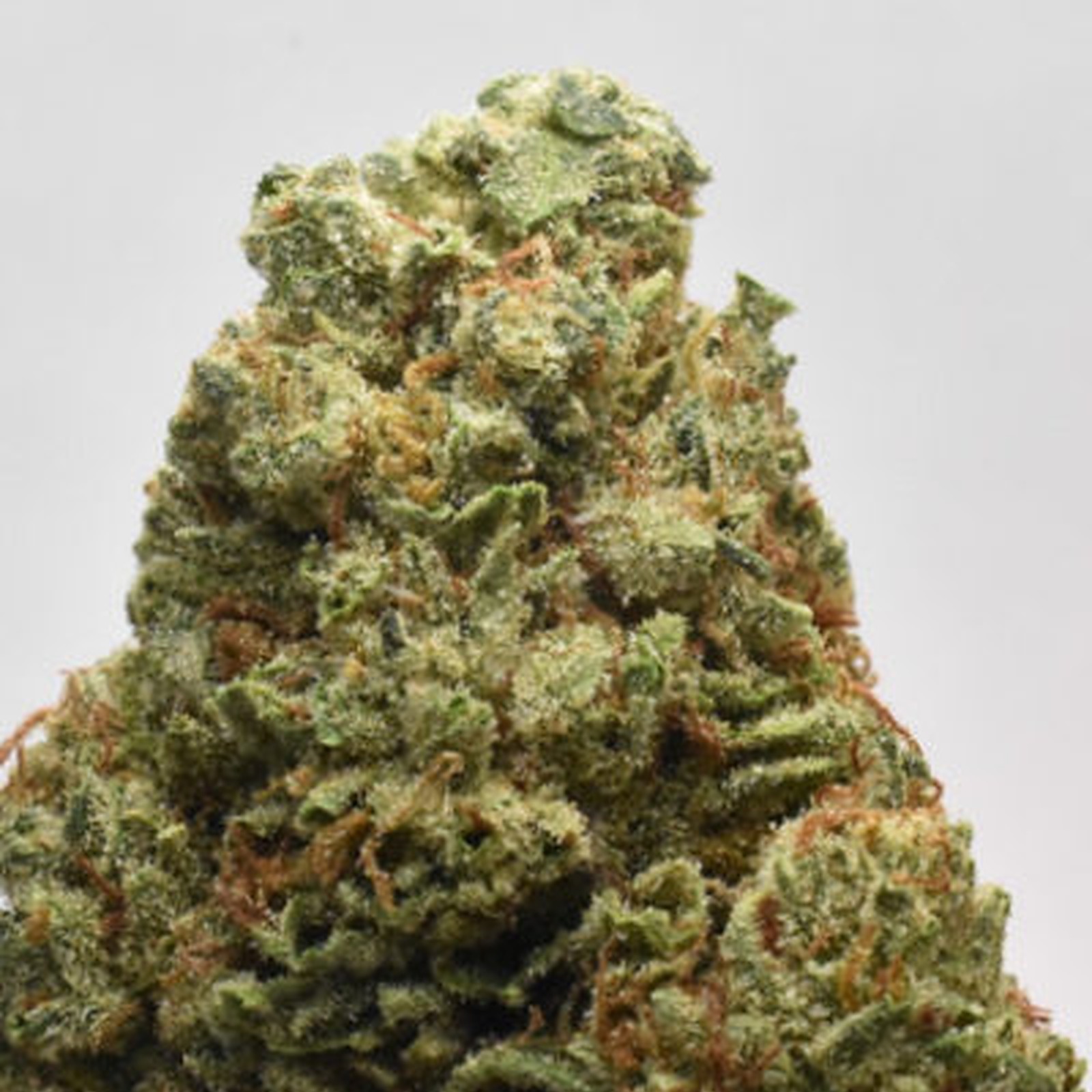 High Five Farms Bruce Banner Leafly